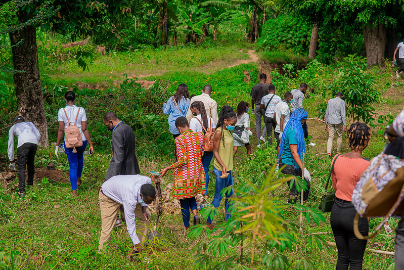 SEI Volunteer Program