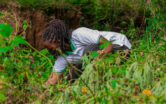 Save Environment Initiative