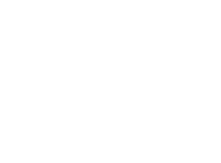 Save Environment Initiative (SEI)