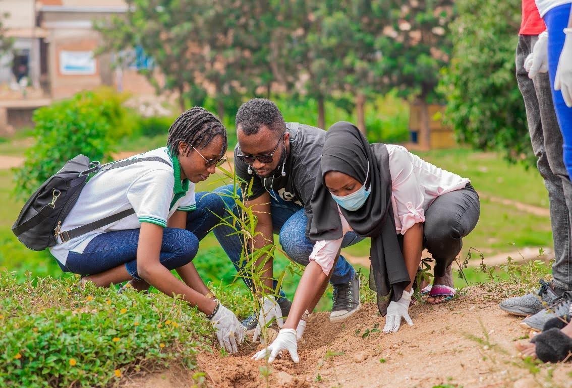 Tree planting