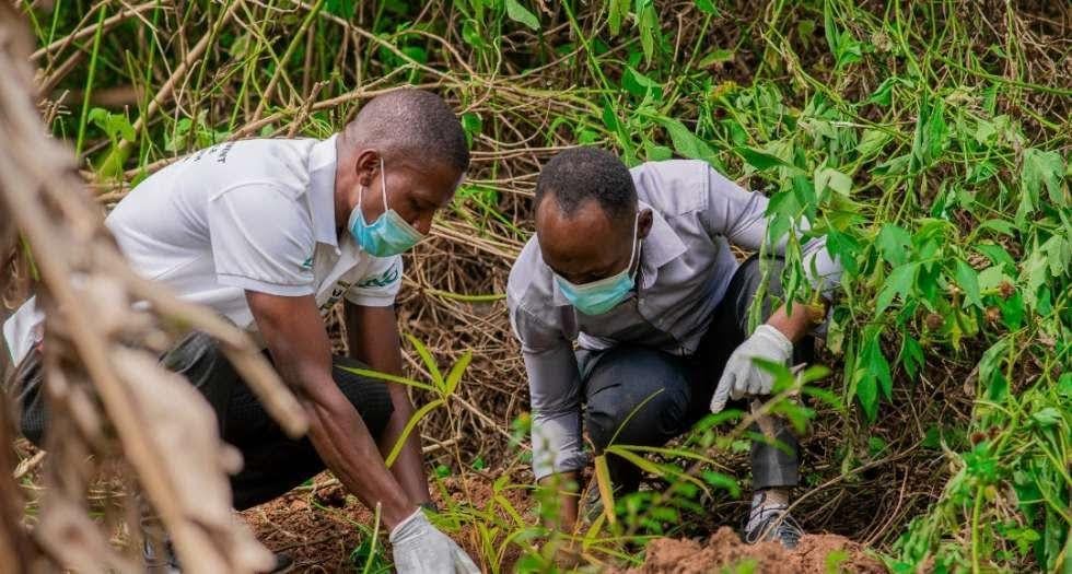 Tree planting1