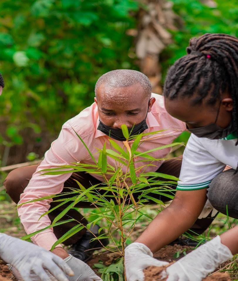 Tree planting3