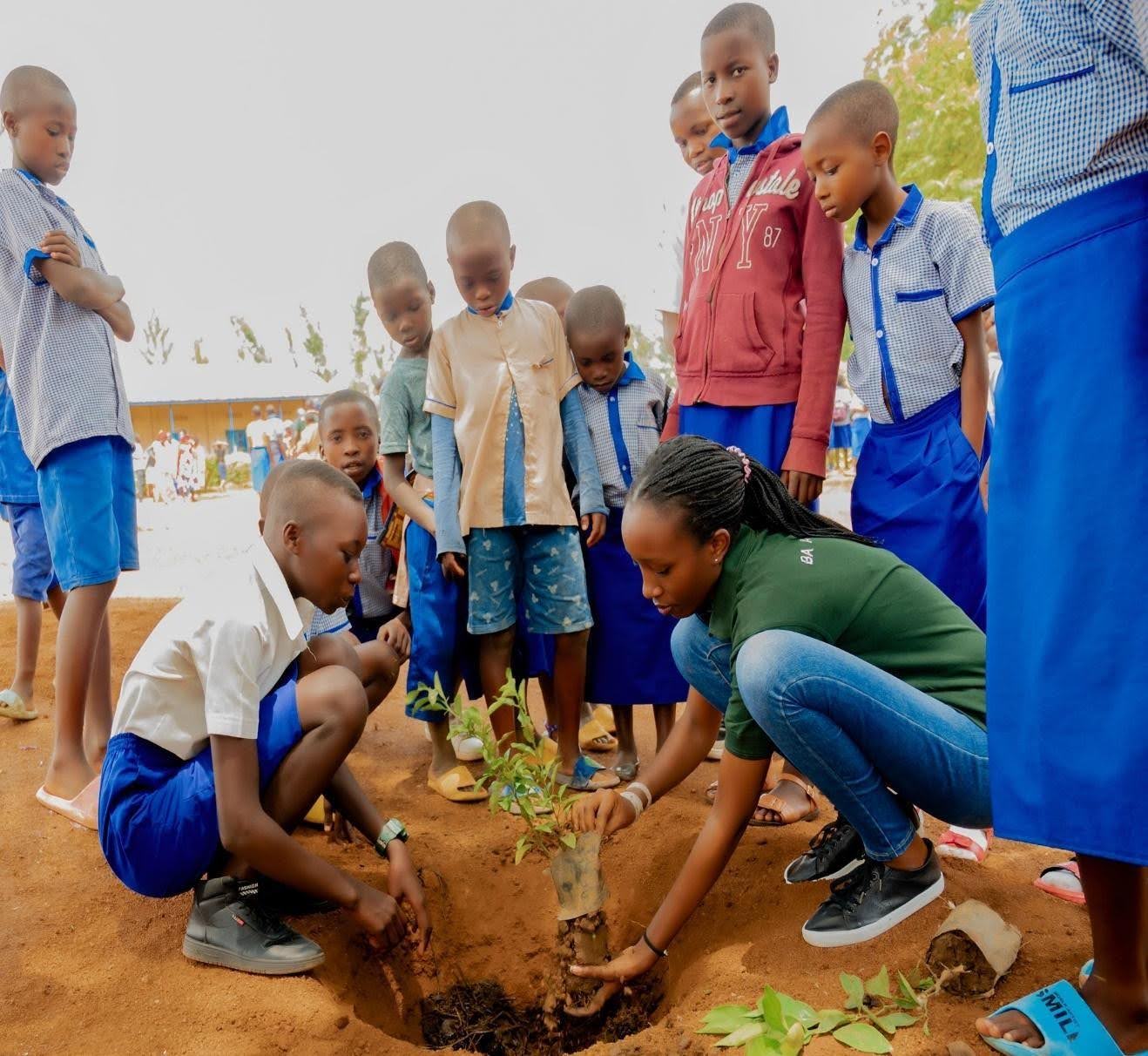 Tree planting4